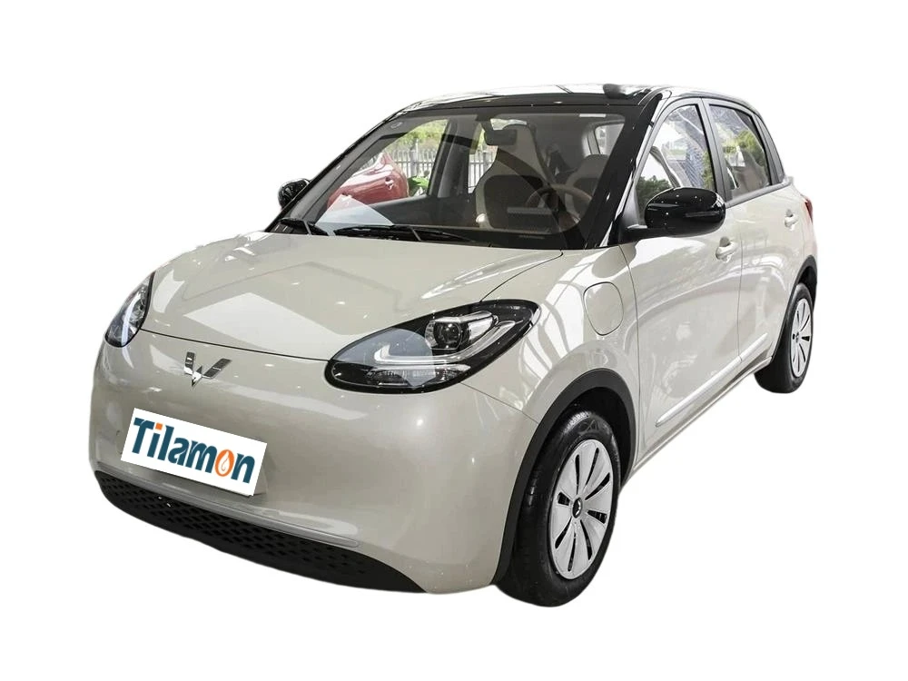 china new gas car manufacturer Performance Analysis