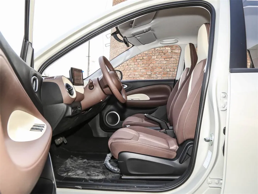 chinese new energy vehicles