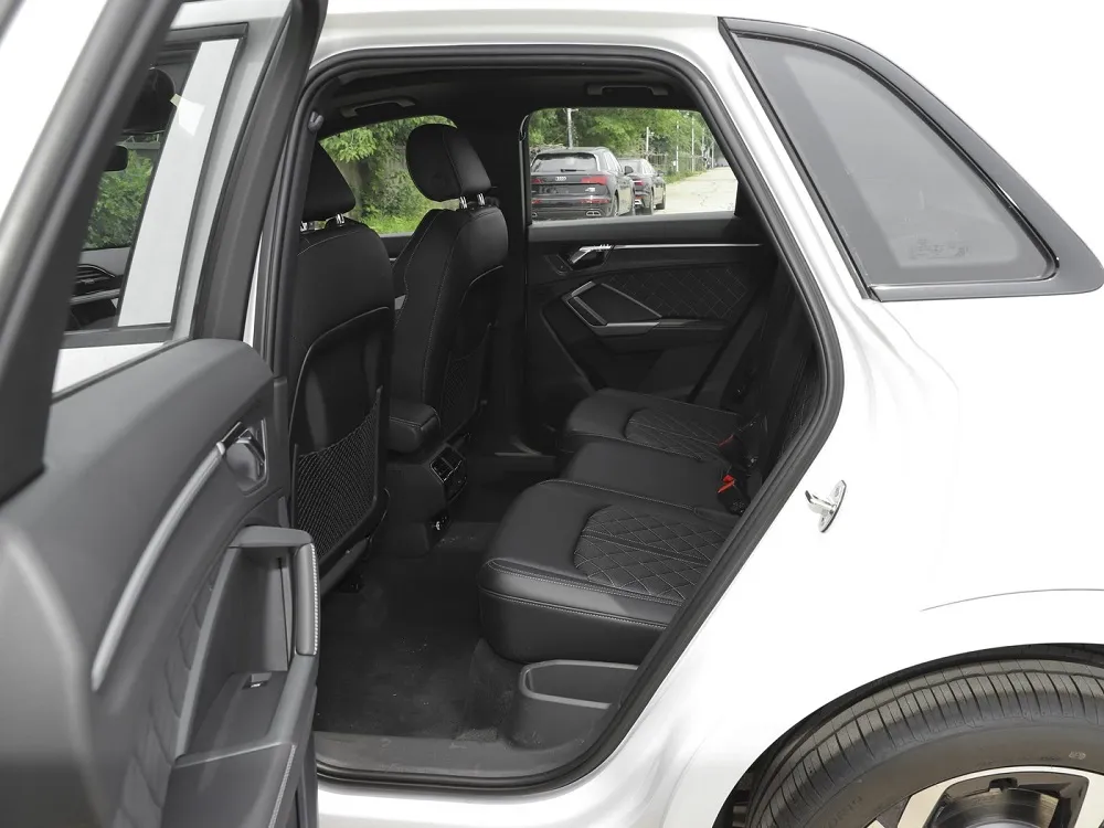 chinese new energy vehicles