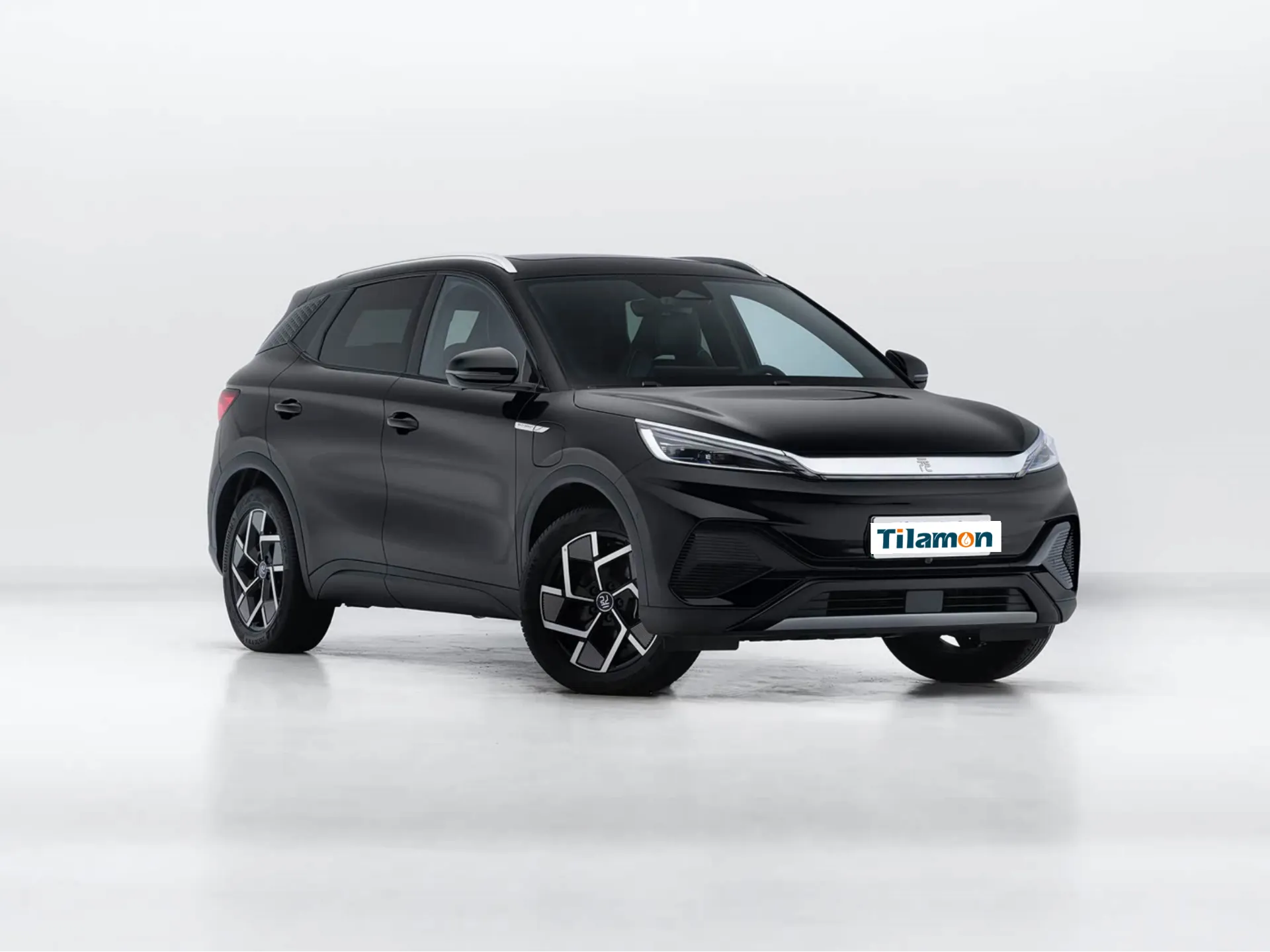 new energy vehicle (nev)