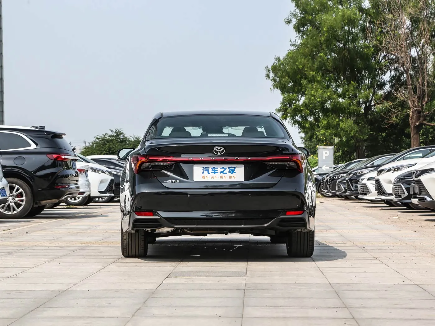 gasoline car product